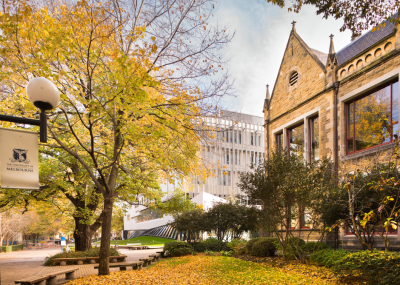 Autumn leaves outside Elisabeth Murdoch (MI)