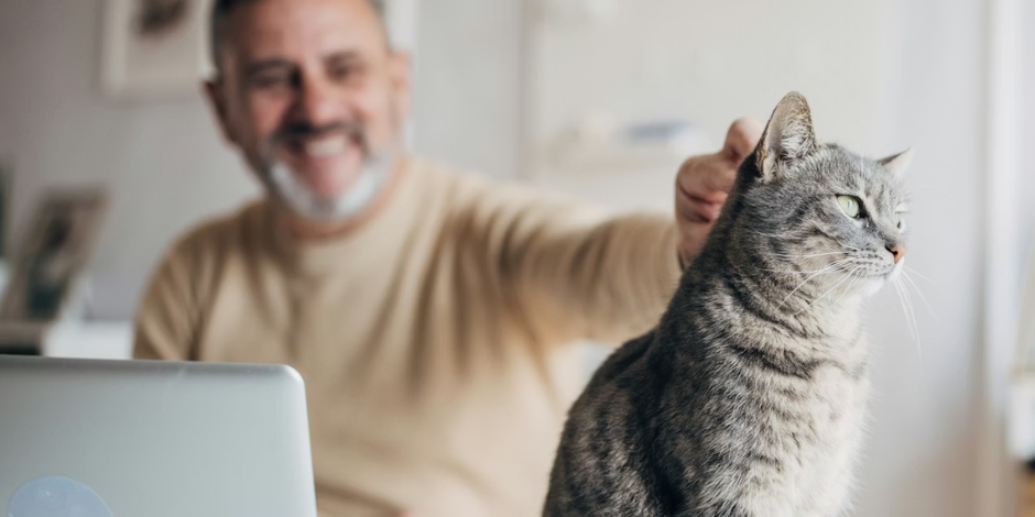 What’s working from home doing to your mental health? We tracked 16,000 Australians to find out